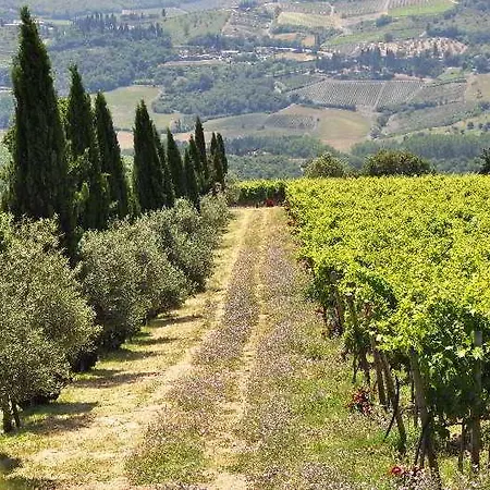 Borgo Castelvecchi Residenza Depoca Hotel 2*